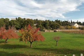 Racconto di Puglia - Selva di Fasano